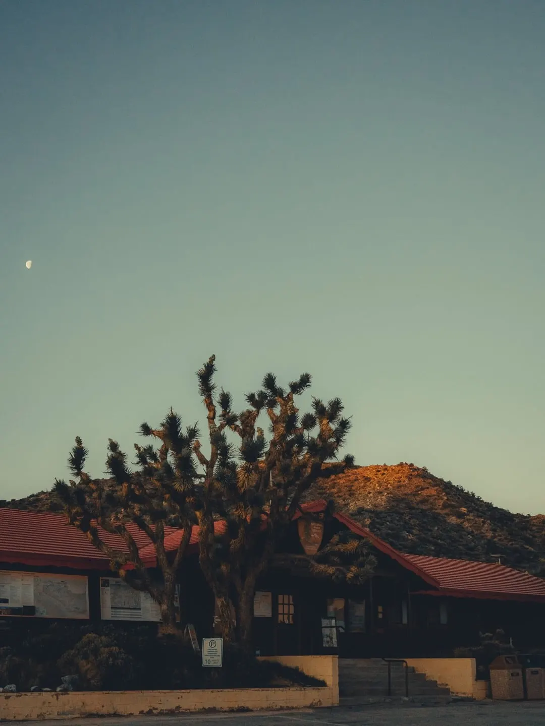 A National Park ranger station with a red tile roof at twilight, a tall Joshua tree silhouetted in front, a thin crescent moon above. The NPS arrowhead emblem is mounted above the door; a low desert ridge sits behind.